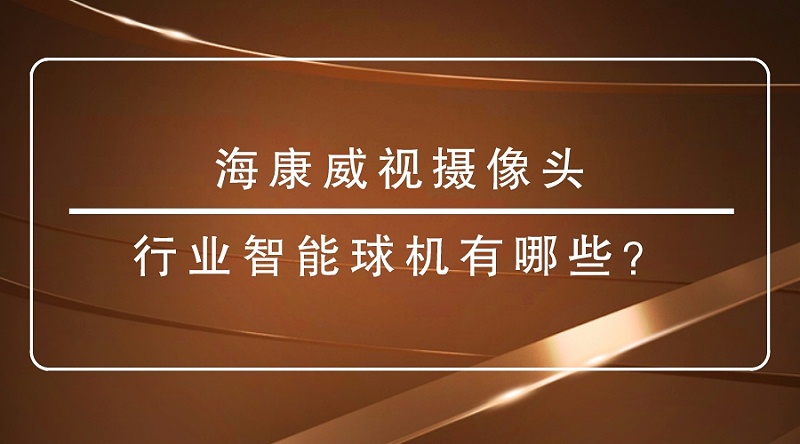 ?？低晹z像頭